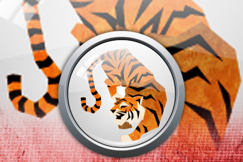 The Tiger ranks third among the animals in the Chinese zodiac