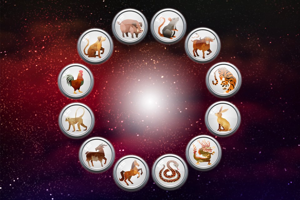 Each zodiac sign and element dictates your luck and personality