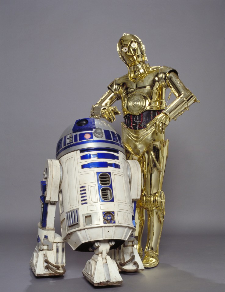 C-3PO and R2-D2 are the most famous droids in the franchise 