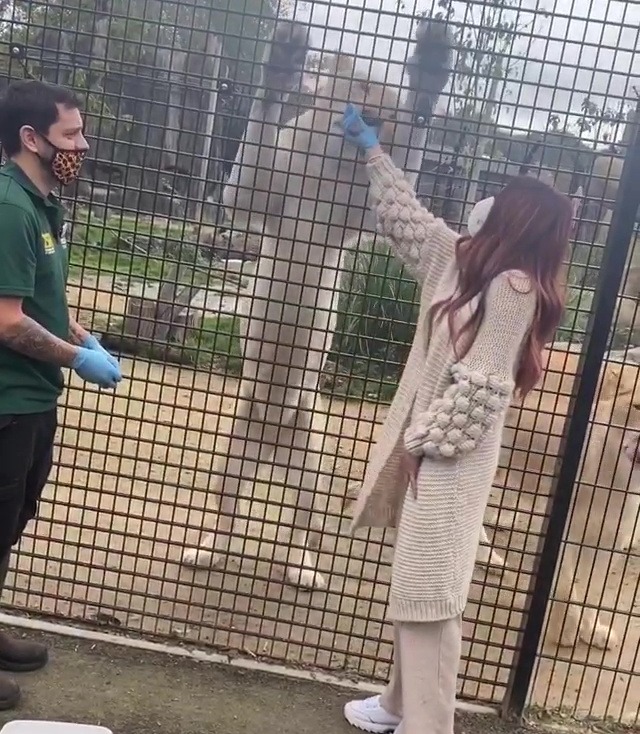 Stacey Solomon and Joe Swash made a ‘swift exit’ from the zoo