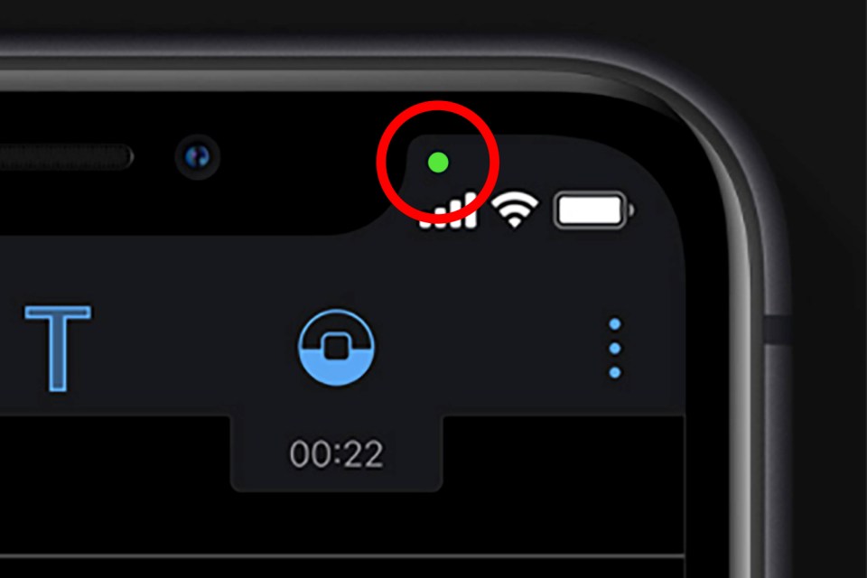 A green dot signifies that your camera is active