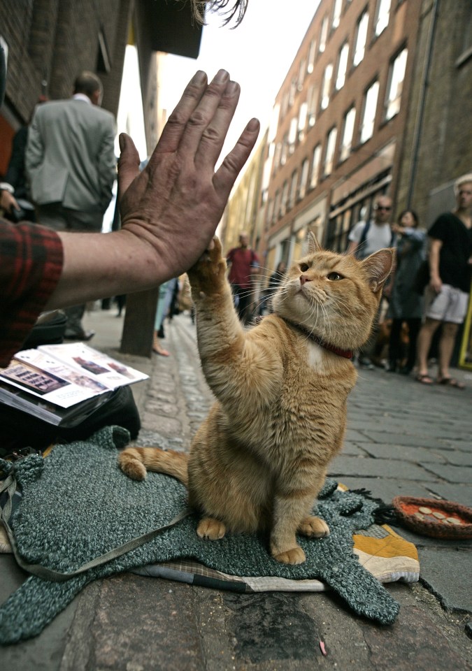 Bob became a star while James was still busking on the streets of Covent Garden