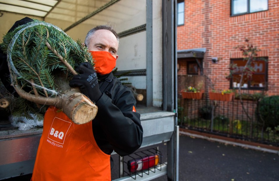 B&Q has launched home delivery for Christmas trees