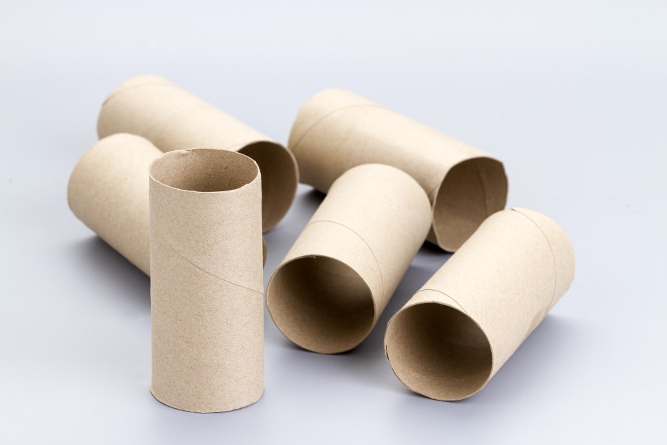 Selling a box of 50 loo roll tubes could get you around £5