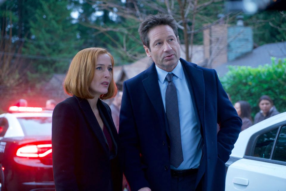 Gillian first emerged on our screens as The X-Files' Scully, alongside David Duchovny's character Fox Mulder