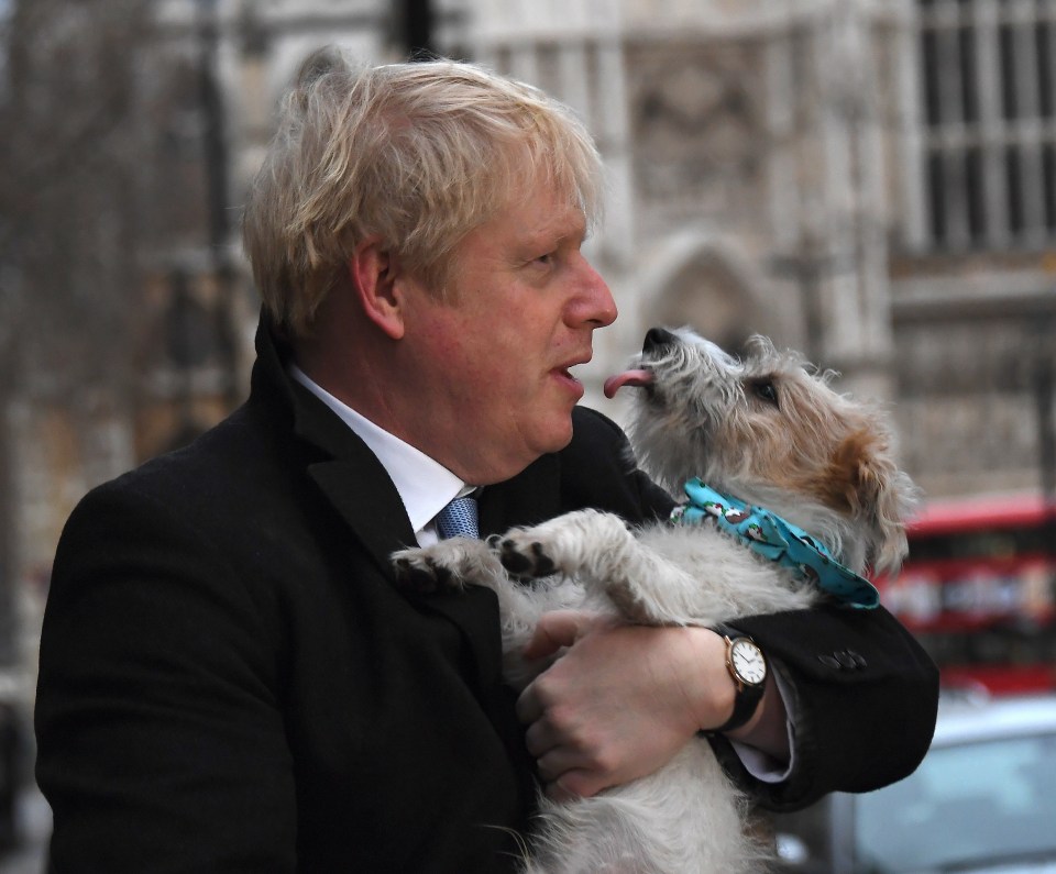 The pooch could have picked the bug while the PM was battling the virus in April