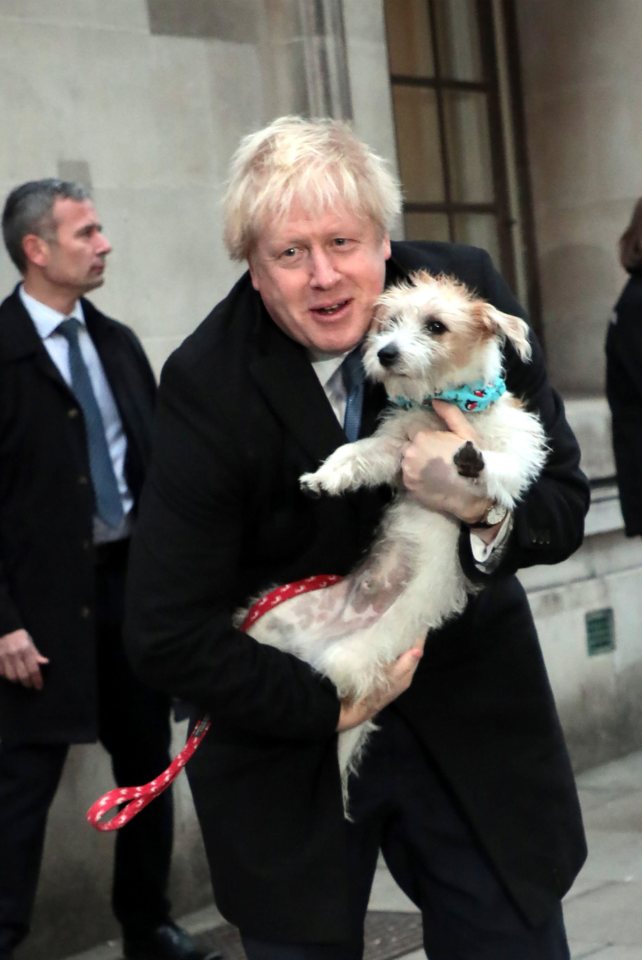 Boris Johnson’s pup is thought to have been struck down with coronavirus