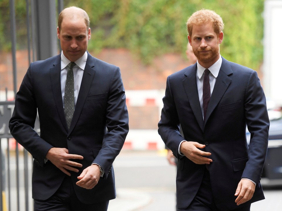 Prince William and Harry's adult lives could feature on The Crown, an expert has claimed