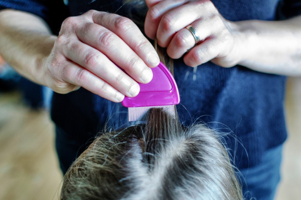 Get free head-lice treatment with the NHS Minor Ailment Scheme