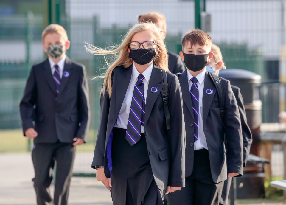 A top scientists has said secondary kids should wear masks in classrooms 