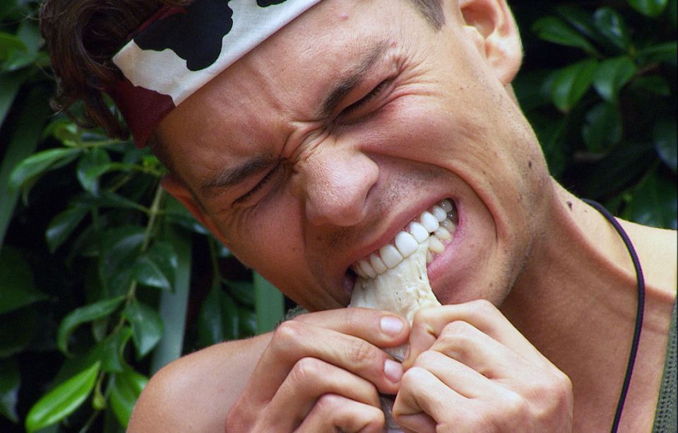 Joey took part in the 13th series of I’m A Celebrity in 2013 and proved a huge hit with viewers