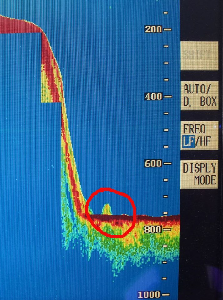 A sonar image that it's claimed shows Nessie the Loch Ness Monster