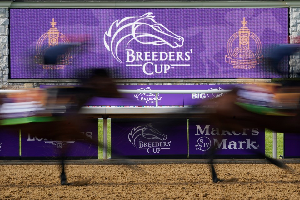 The Breeders' Cup is one of the biggest paying events on the racing calendar