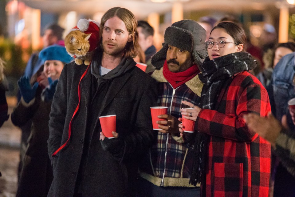 Luke Treadaway plays James in A Christmas Gift From Bob but the cat stars as himself