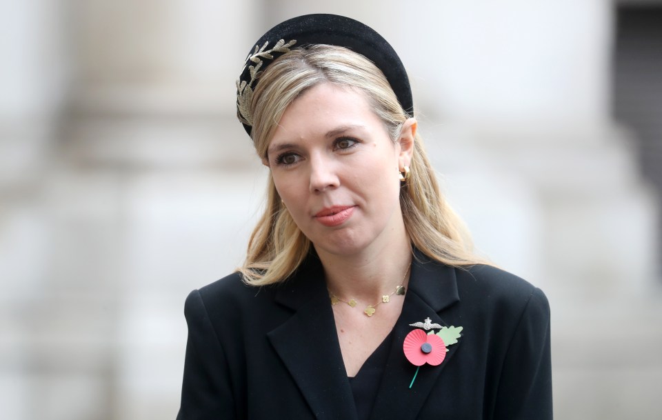 Carrie Symonds is claimed to have attacked the PM’s idea of making Cain chief of staff