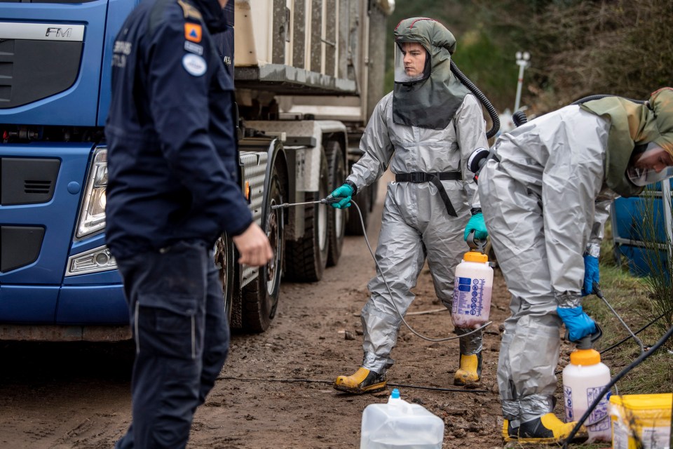 Members of Danish health authorities disposing of the dead mink