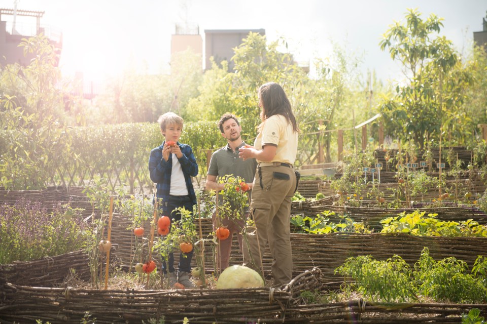 Get an authentic French experience staying on a farm across the channel