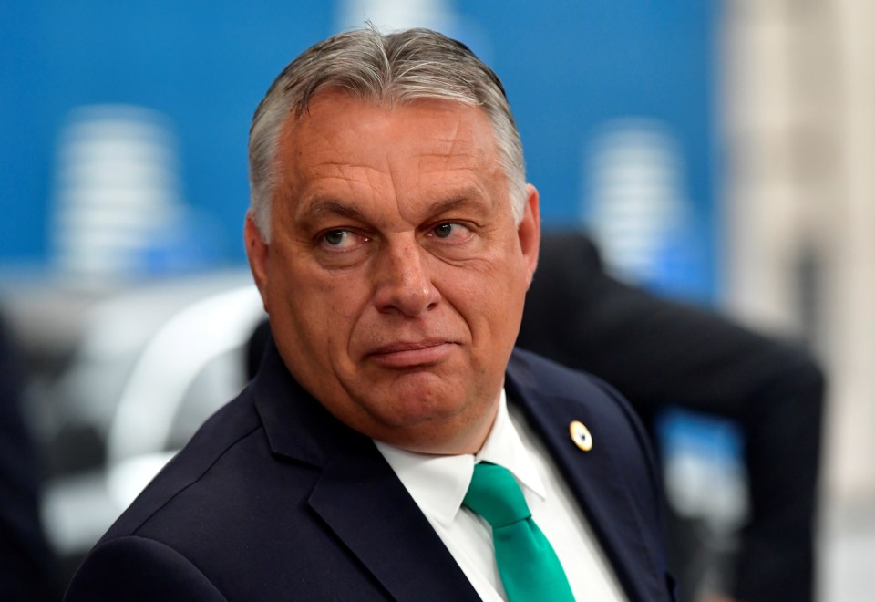 Hungarian Prime Minister Viktor Orban says his veto of the budget is linked to fears over mass immigration