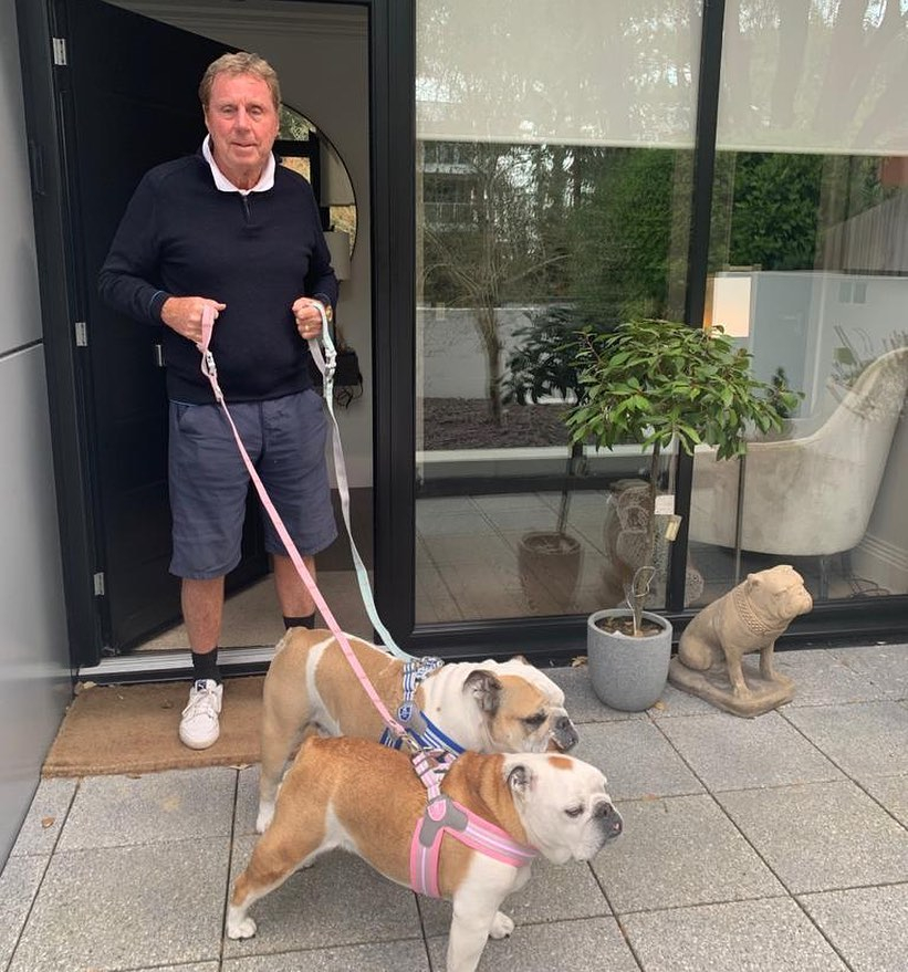 Harry Redknapp has to buy edible flowers for his dog Barney