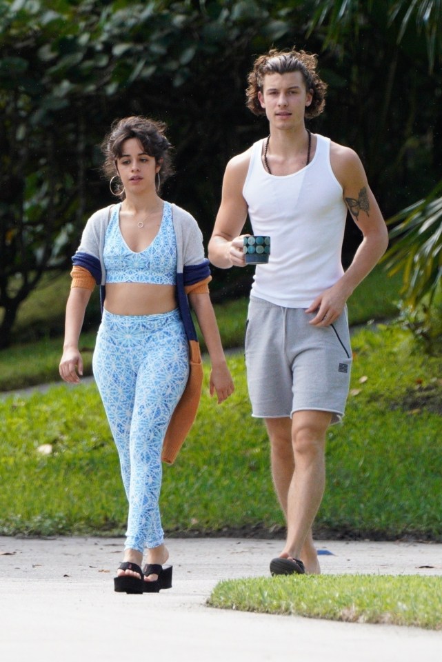 Camila Cabello and Shawn Mendes enjoying a walk by Camila's place after lunch