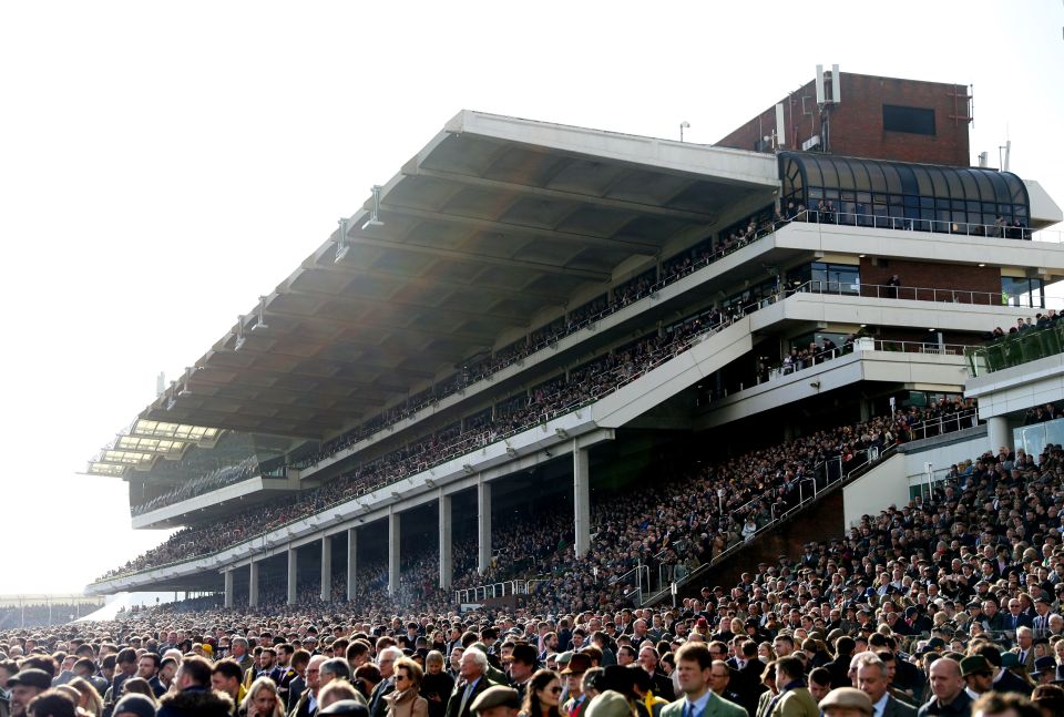 Fans flock to Cheltenham in their thousands each year