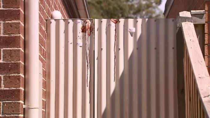 Dripping blood today on a metal fence at Celeste's home in Melbourne suburb Mernda