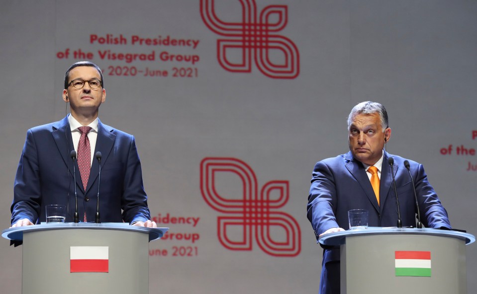 Polish Prime Minister Mateusz Morawiecki and Hungarian leader Viktor Orban have vetoed the new EU budget