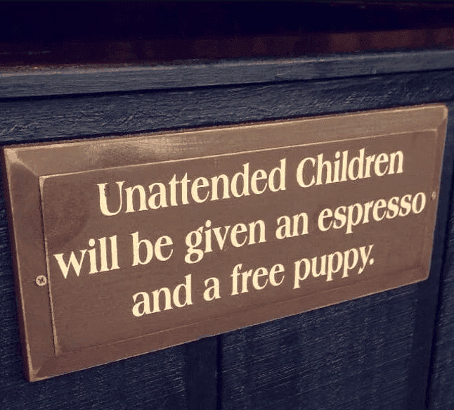 If ever there was a reason not to leave the kids unattended, the prospect of caffeine-fuelled little ones high on puppy-owning life would surely be it