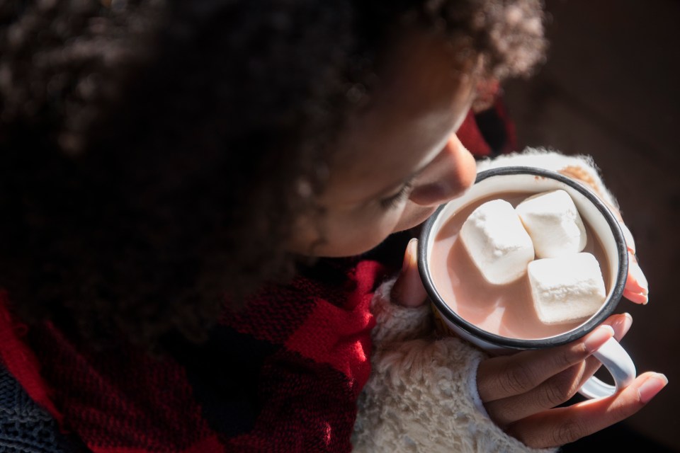 Researchers claim drinking cocoa makes you smarter