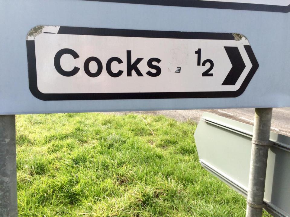 The Cornish hamlet Cocks got fed up with replacing their name sign