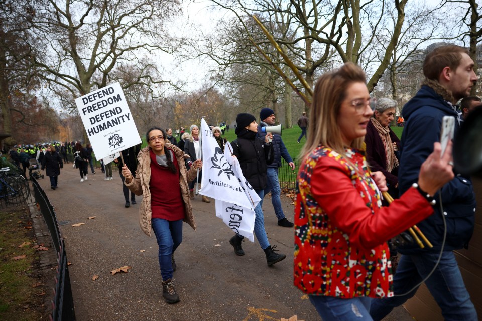 Protesters carry signs and flags in the park during demonstrations