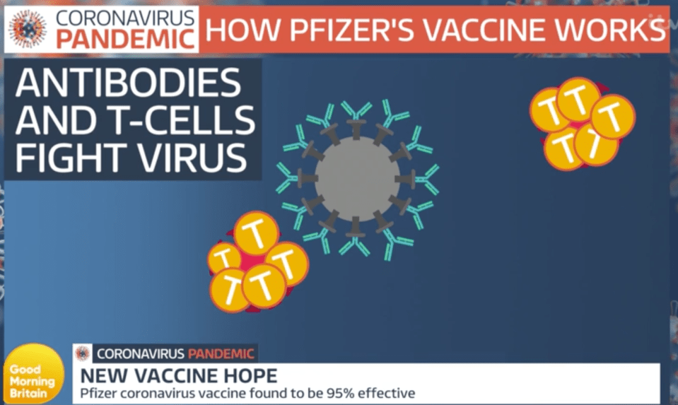 The patient's antibodies fight the virus