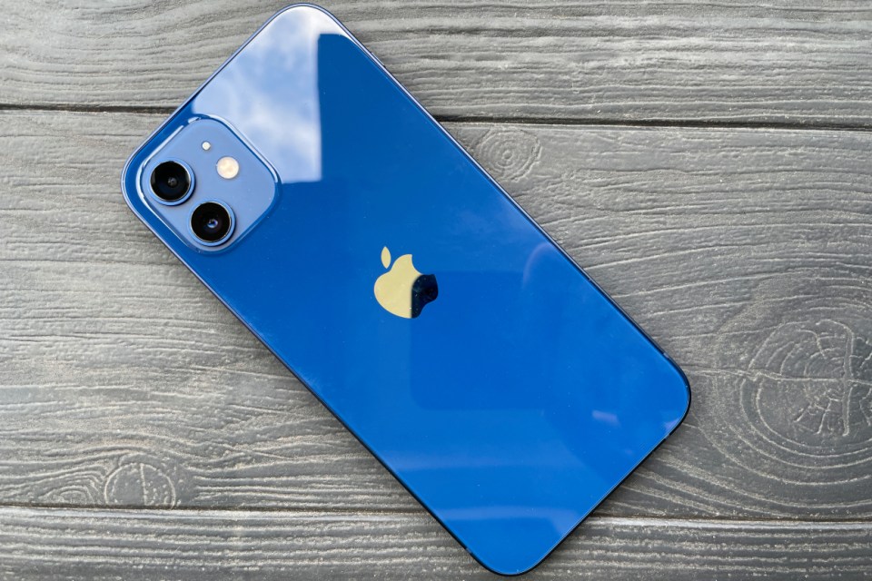 The iPhone 12 comes in several colourways - including blue