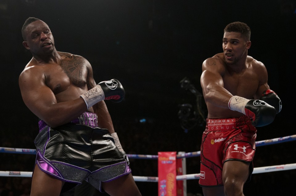 Dillian Whyte has no doubts Joshua will beat Pulev 