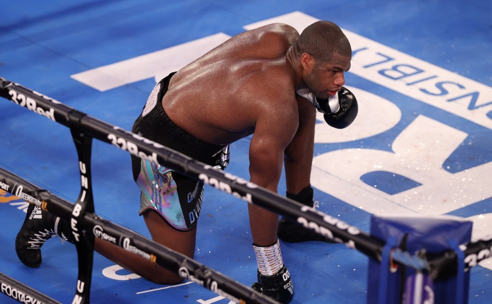 Daniel Dubois was counted out against Joe Joyce 