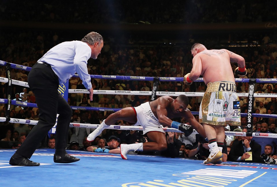 Anthony Joshua suffered a seventh-round TKO loss to Andy Ruiz Jr last June