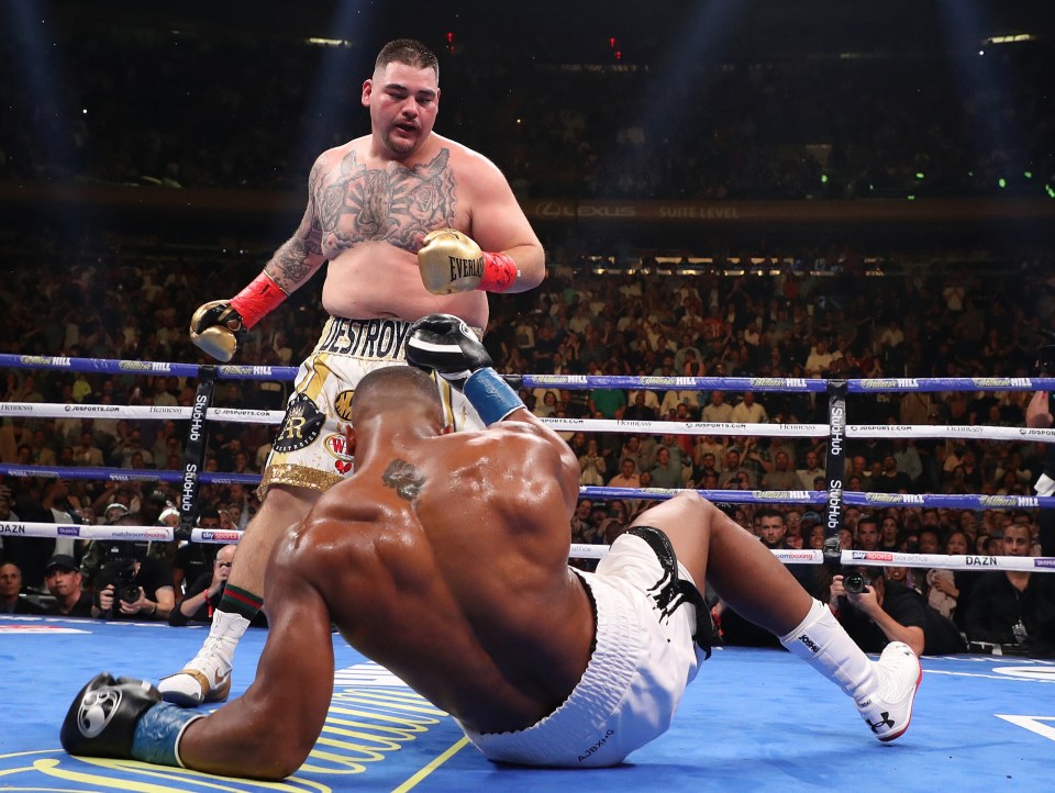 Andy Ruiz Jr stunned Anthony Joshua last year 