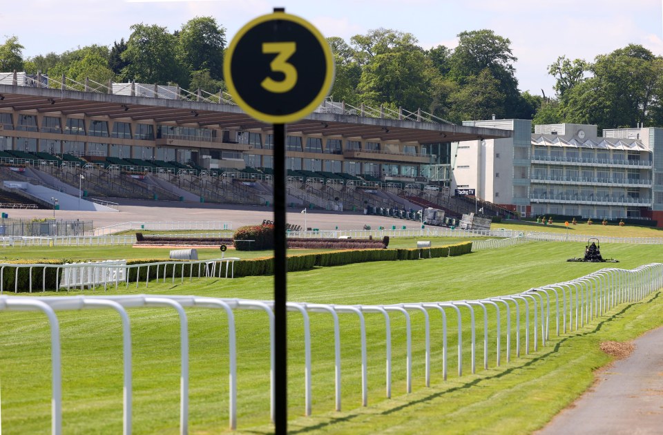 The Betfair Tingle Creek takes place at Sandown Park this weekend