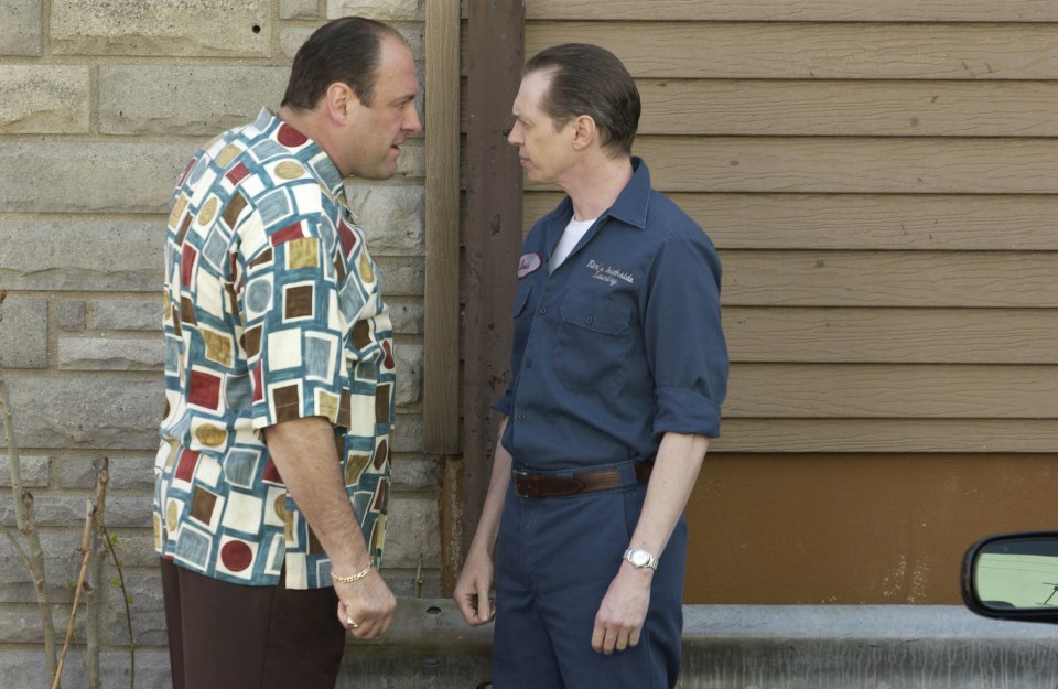 Steve Buscemi starred alongside James Gandolfini