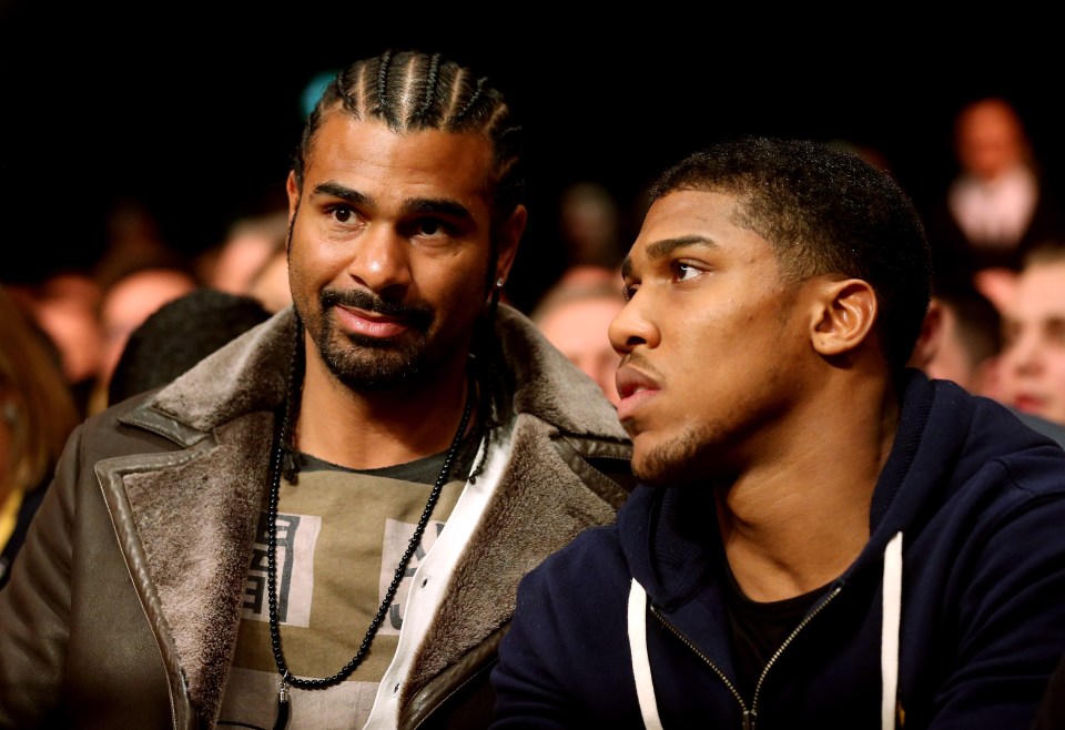 David Haye reckons AJ 'wipes the floor with Pulev' 