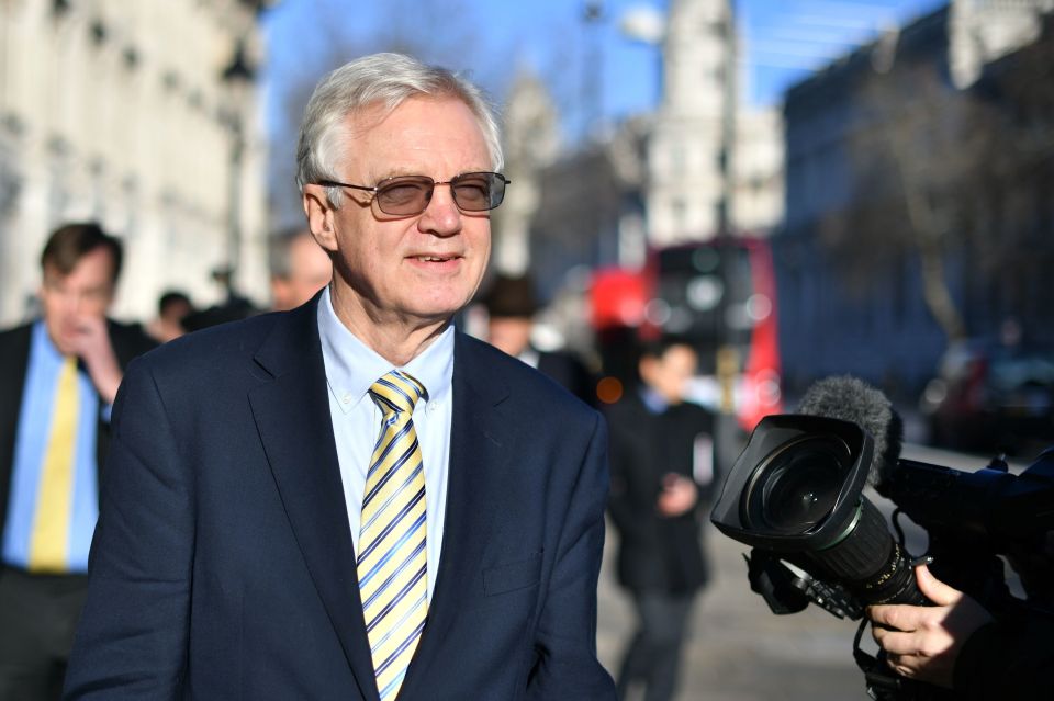 David Davis said: 'At this crucial time, the Prime Minister must stand firm and hold his nerve'