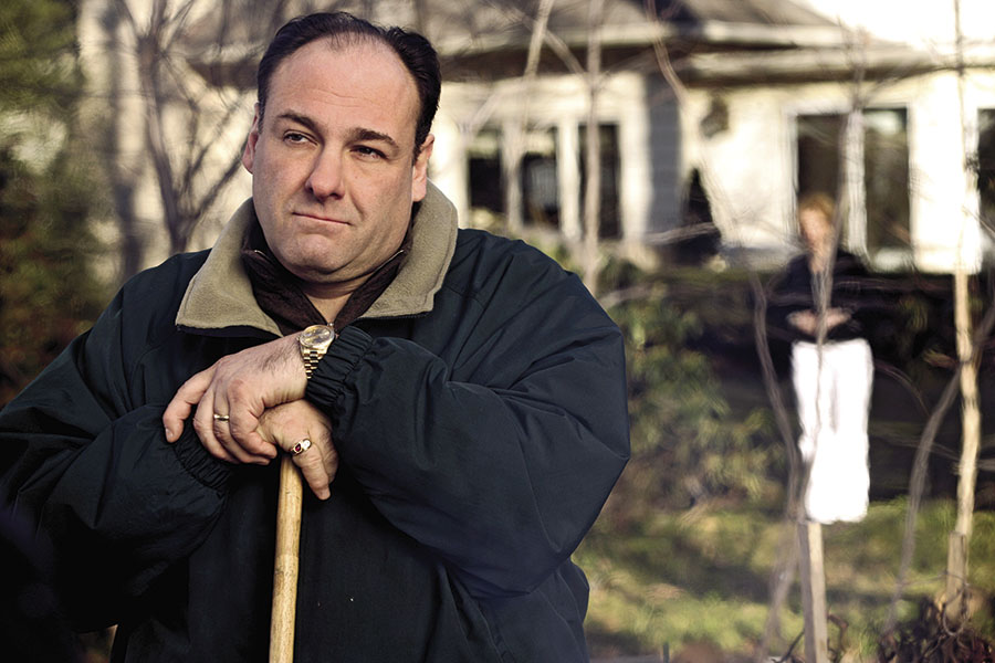 Gandolfini died of a heart attack in 2013