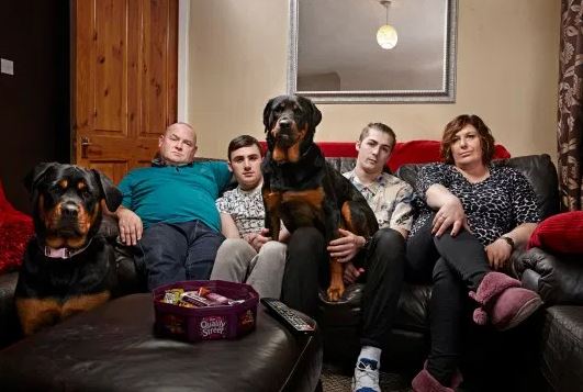 The Malone family - and their dogs - have been show favourites since 2014