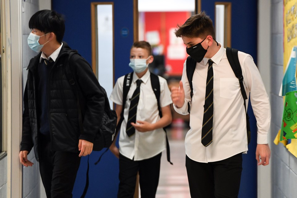 Professor Wendy Barclay, head of the department of infectious disease, Imperial College London, said it appears children are now “on a more level playing field” with adults in terms of infection susceptibility