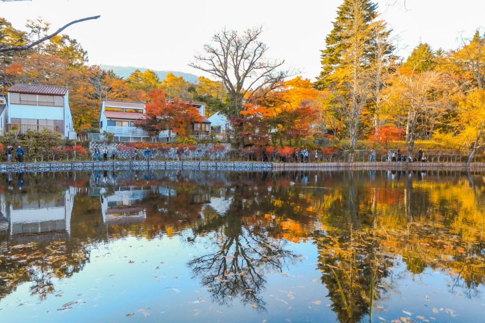 Autumn at Kumoba Pond in Karuizawa, Japan