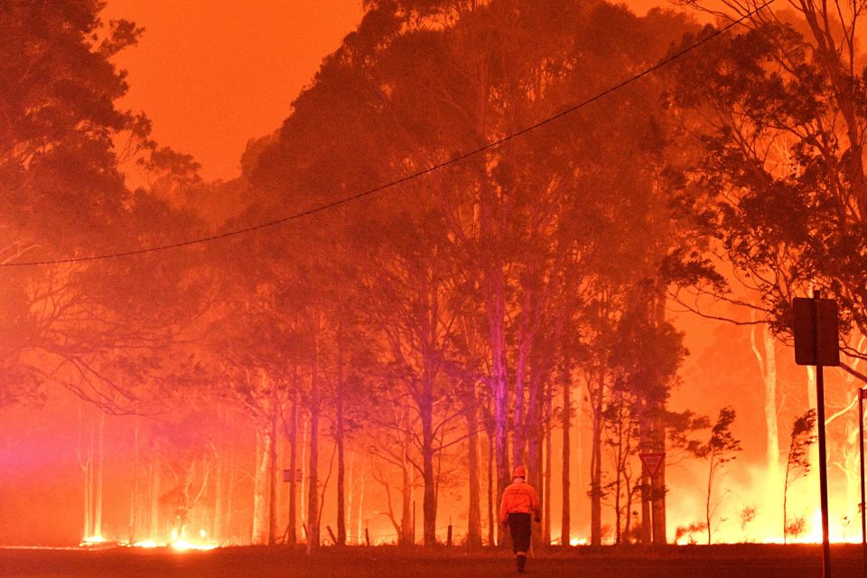 Australians have had a whole year to reverse the ridiculous eco legislation that caused last year's fires