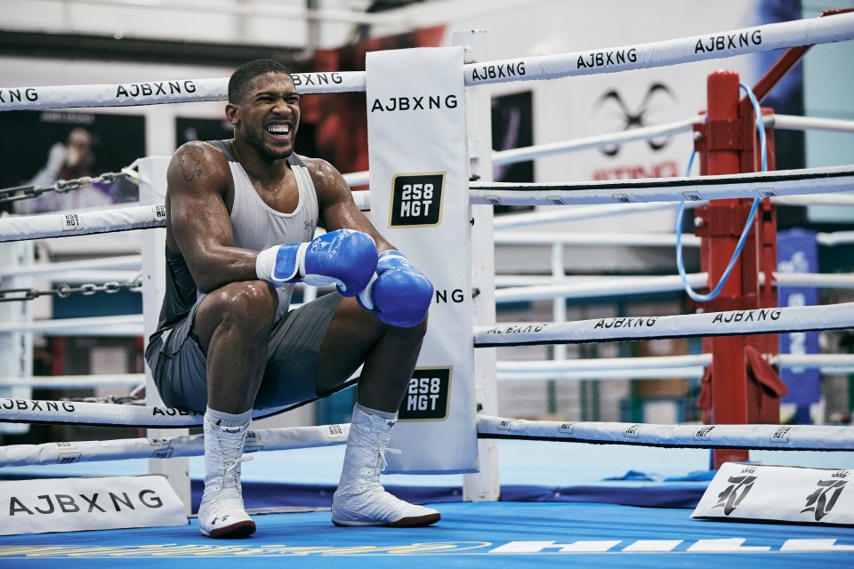 Joshua is preparing to defend his titles against Pulev 