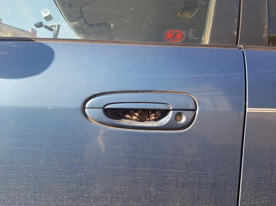 Aussie Christine Jones said she thought "hairy caterpillars" were hiding under the handle of her car door