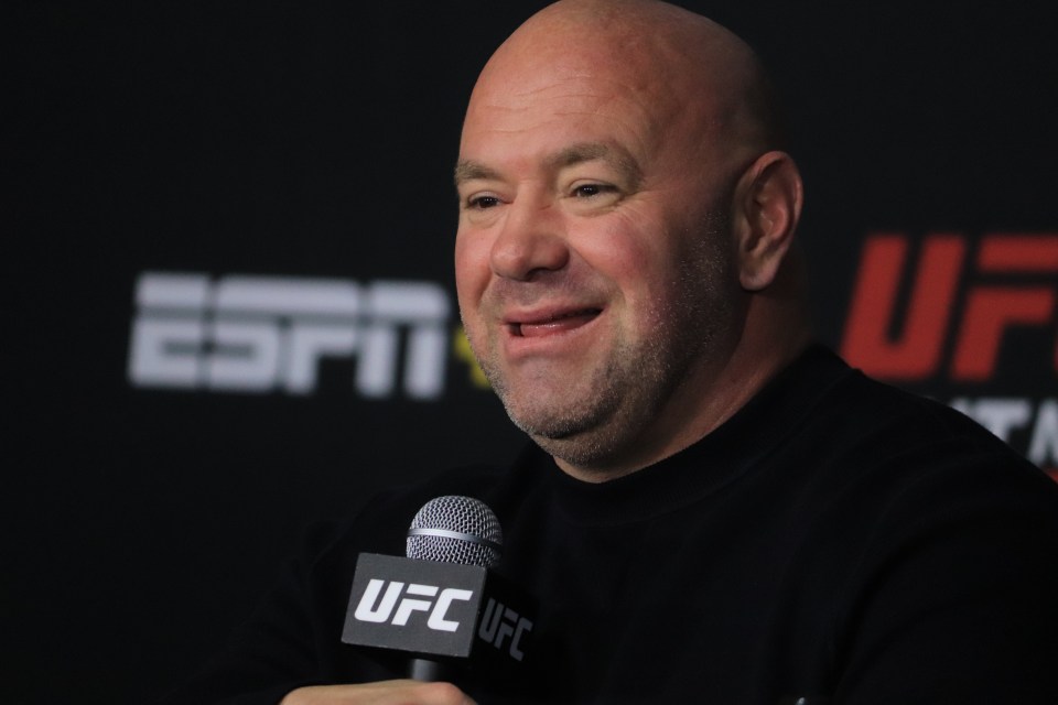 Dana White has confirmed that Conor McGregor will NOT face Jake Paul 