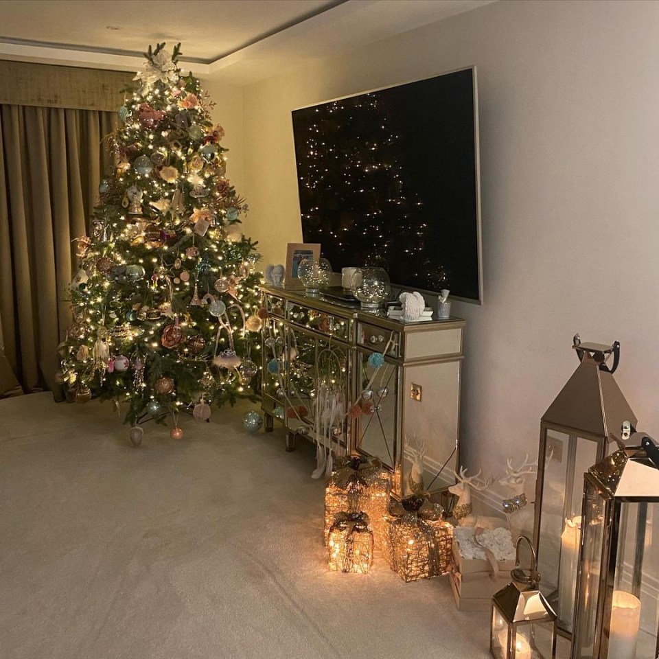 Veronika says Jess' lavish tree perfectly completes her swanky living room. 